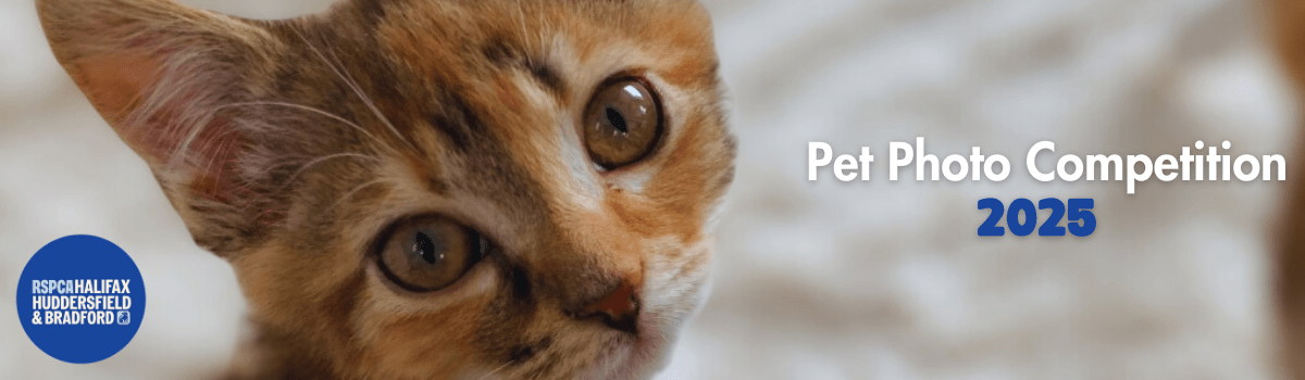 RSPCA Jan 25 news header